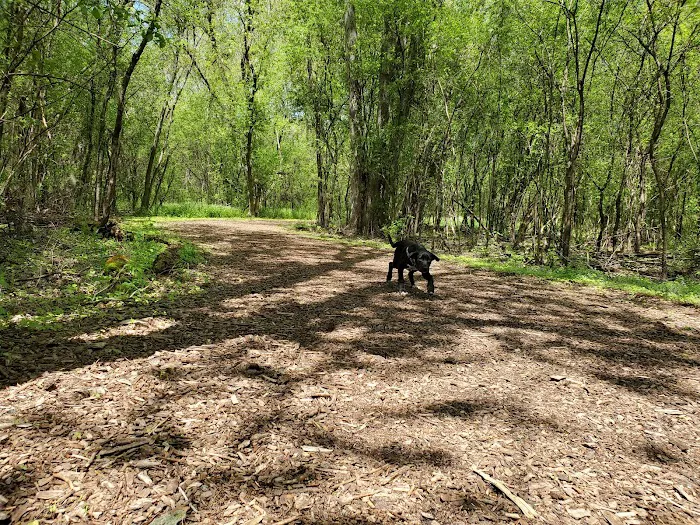 Mac Arthur Dog Run 6