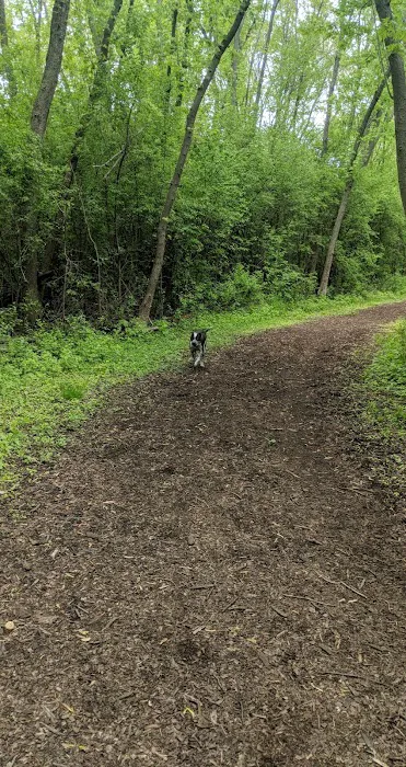 Mac Arthur Dog Run 1