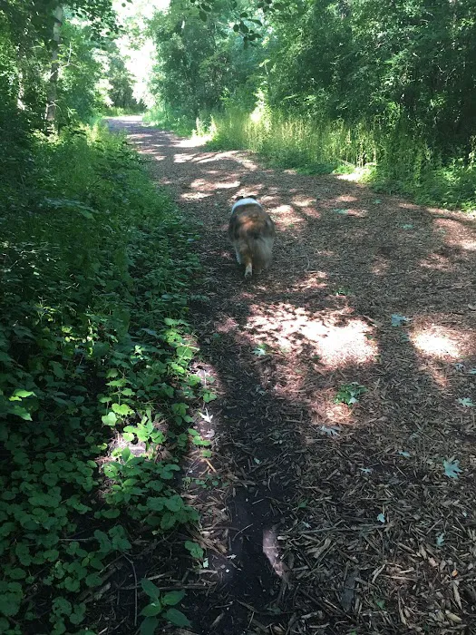 Mac Arthur Dog Run 5