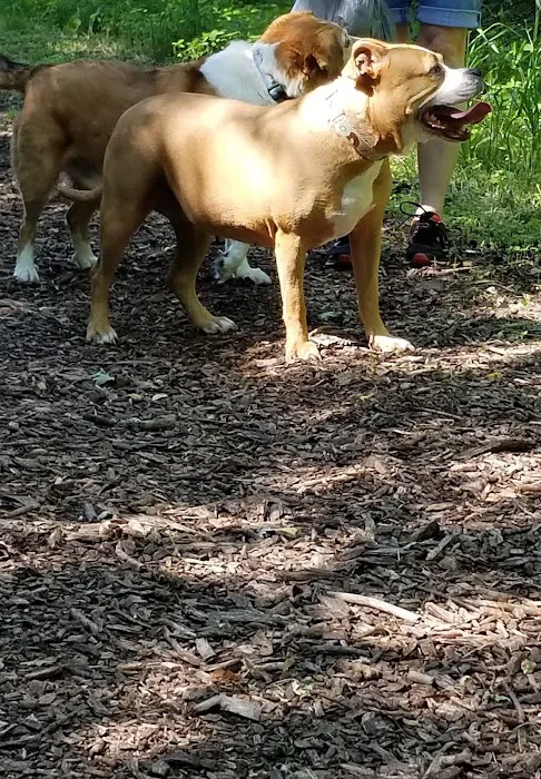 Mac Arthur Dog Run 2