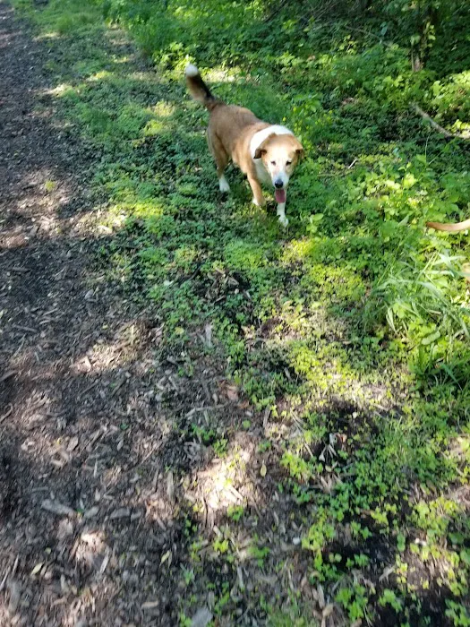 Mac Arthur Dog Run 7