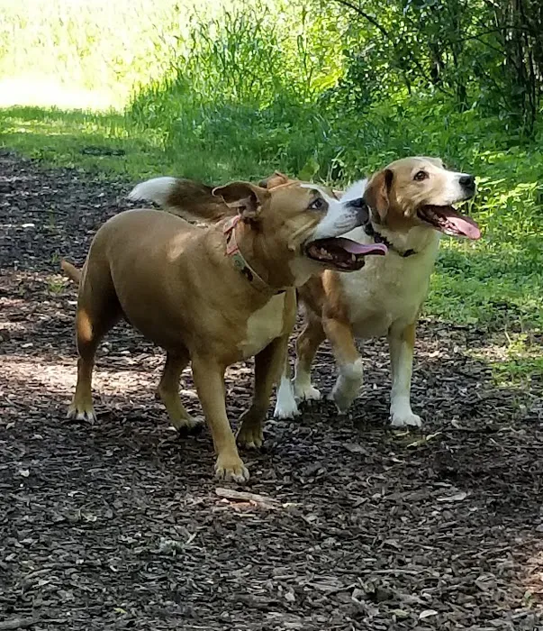 Mac Arthur Dog Run 8