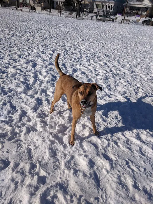Roverwest Dog Park 1