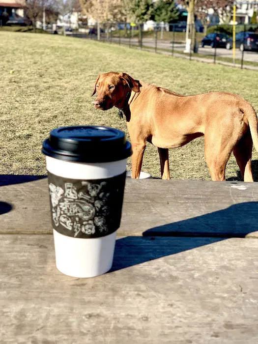 Roverwest Dog Park 5