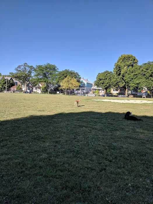 Roverwest Dog Park 6