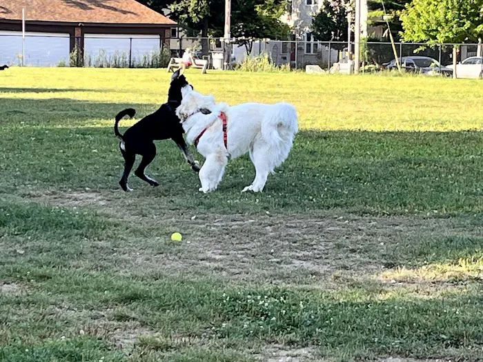 Roverwest Dog Park 3