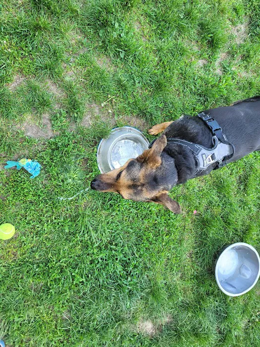 Roverwest Dog Park 4