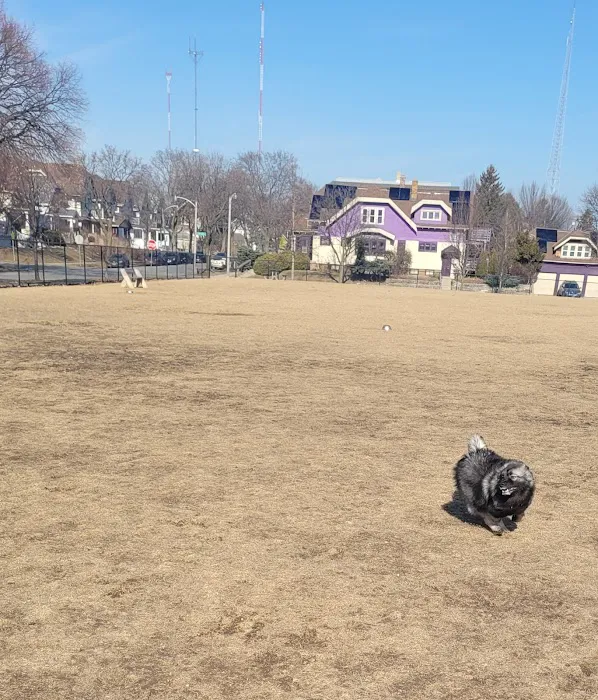 Roverwest Dog Park 10