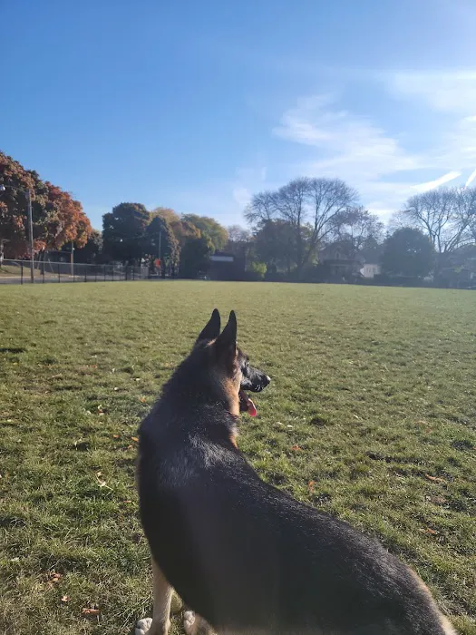 Roverwest Dog Park 2