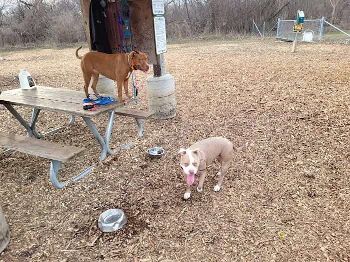 Estabrook Dog Park 3