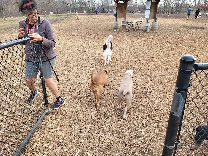 Estabrook Dog Park 8