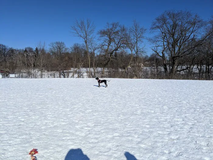 Estabrook Dog Park 7