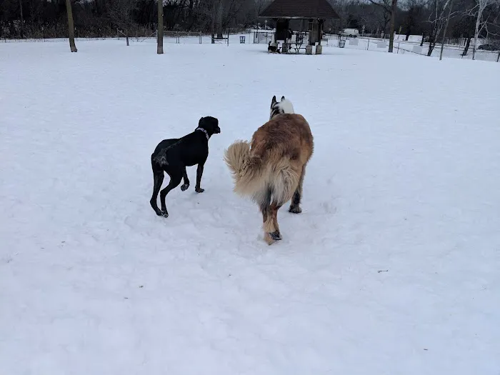 Estabrook Dog Park 4