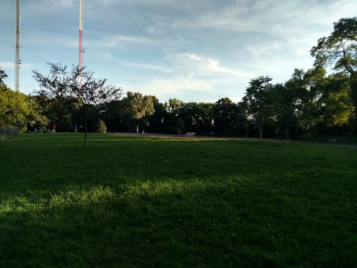 Estabrook Dog Park 6