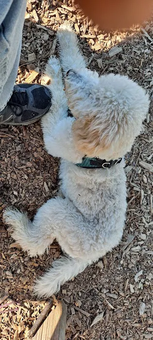 Estabrook Dog Park 10