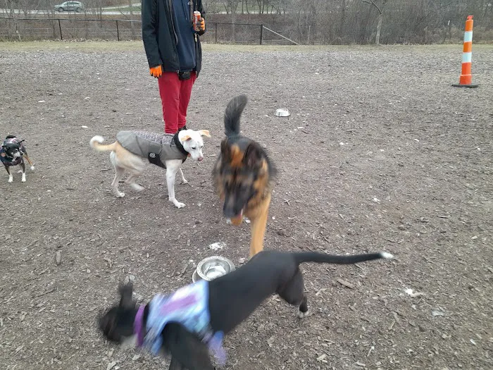 Estabrook Dog Park 7