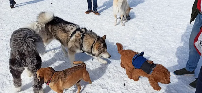 Estabrook Dog Park 1