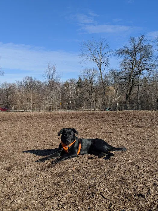 Estabrook Dog Park 6