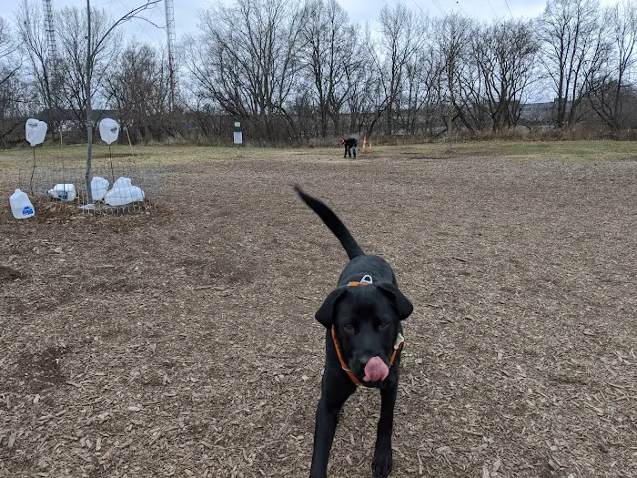 Estabrook Dog Park 4