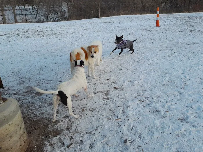 Estabrook Dog Park 5