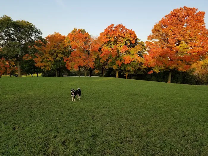 Currie Dog Park 8