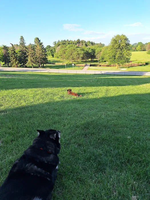 Currie Dog Park 10