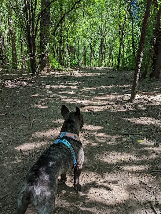Currie Dog Park 3
