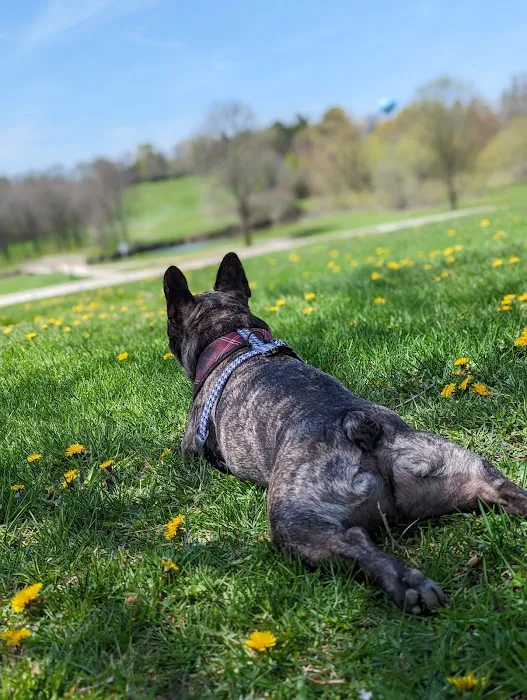 Currie Dog Park 4