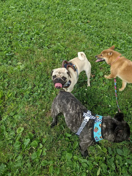 Currie Dog Park 7