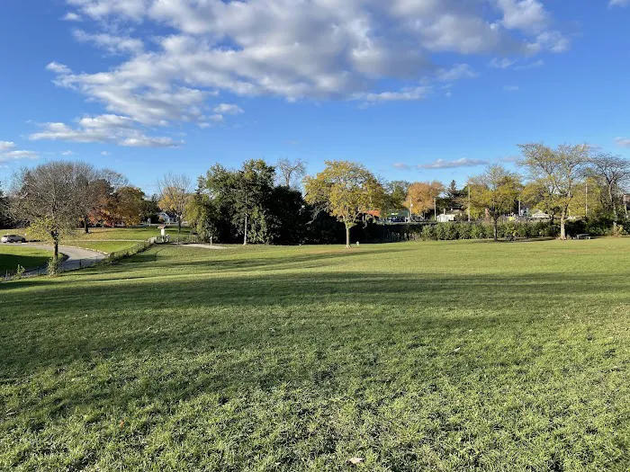 Currie Dog Park 6