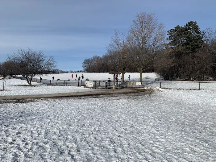 Currie Dog Park 5