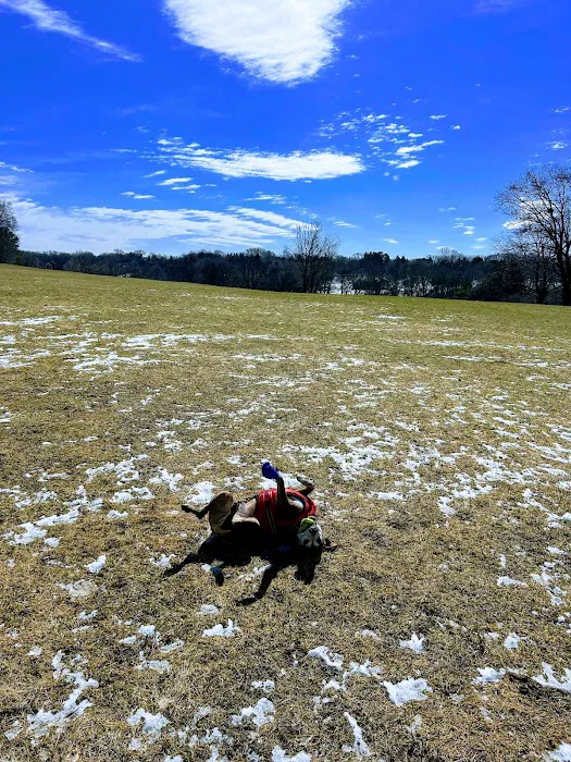 Currie Dog Park 9