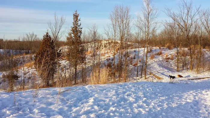 Granville Dog Park 4