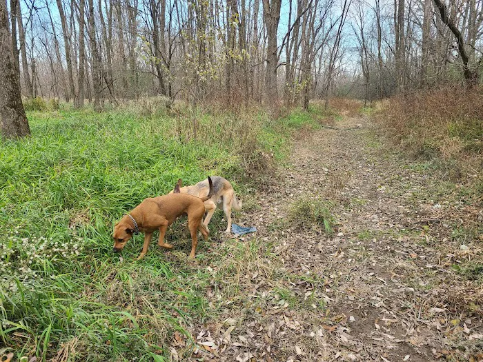 Granville Dog Park 10