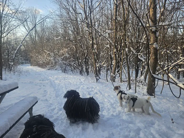 Granville Dog Park 2