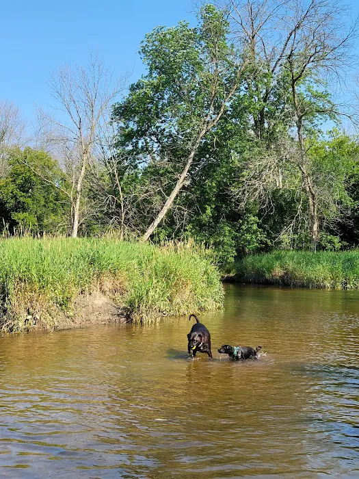 Granville Dog Park 5
