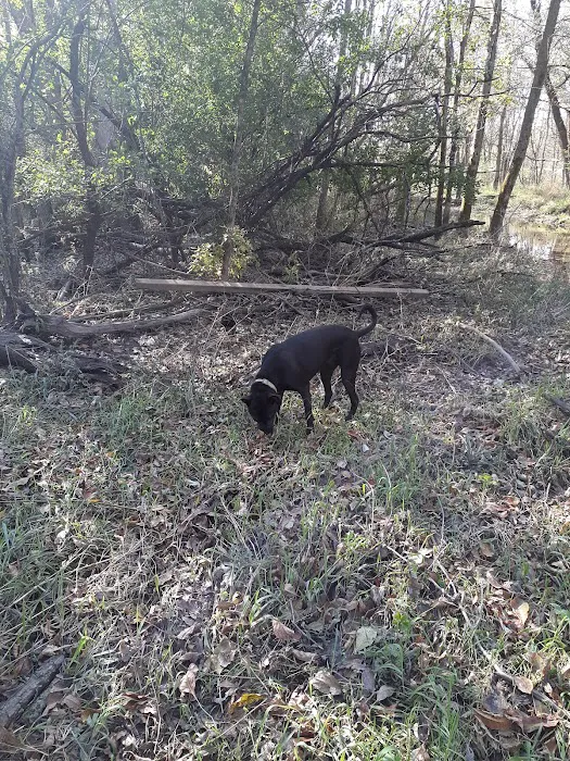 Granville Dog Park 3
