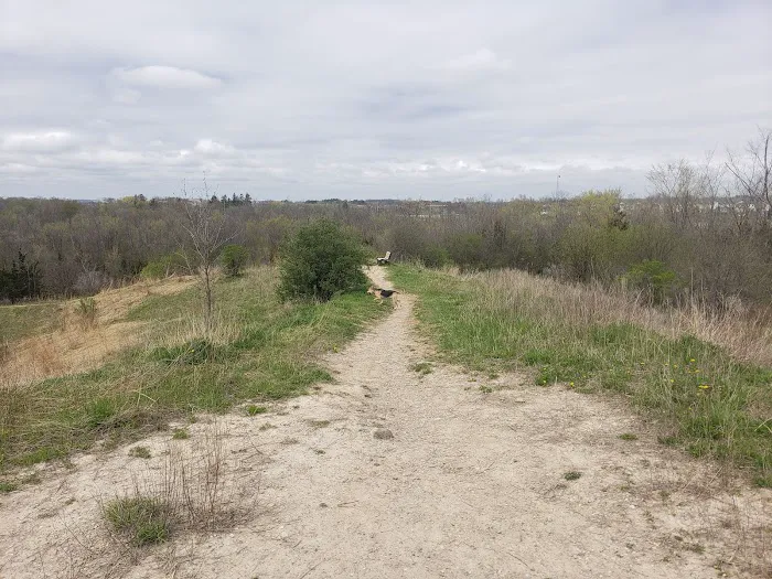 Granville Dog Park 9