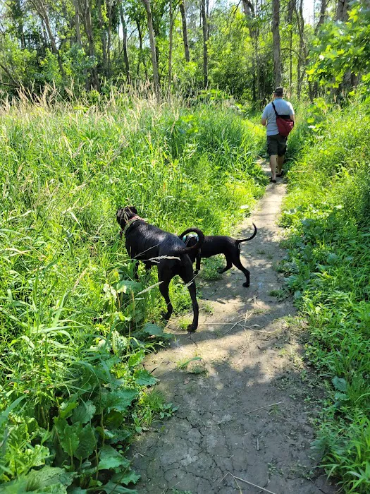 Granville Dog Park 6