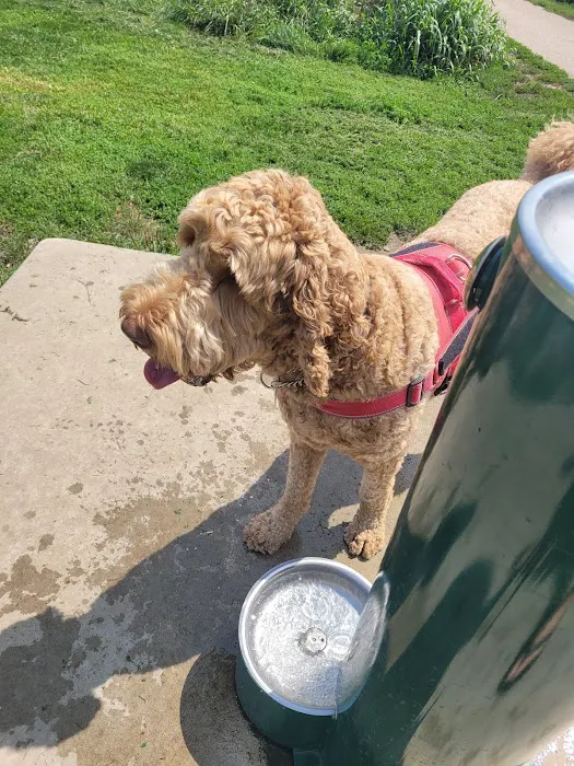 Mitchell Park Dog Exercise Areas 6