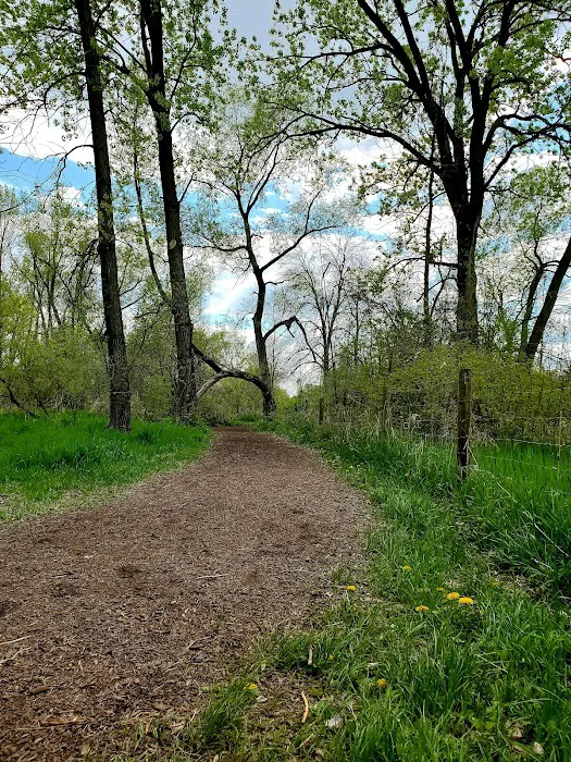 Mitchell Park Dog Exercise Areas 2
