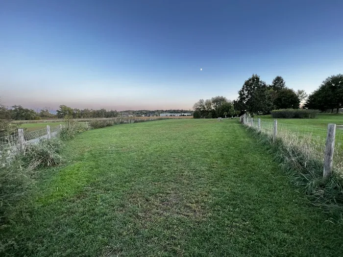 Mitchell Park Dog Exercise Areas 1