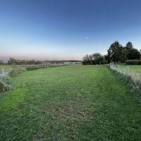 Mitchell Park Dog Exercise Areas ico