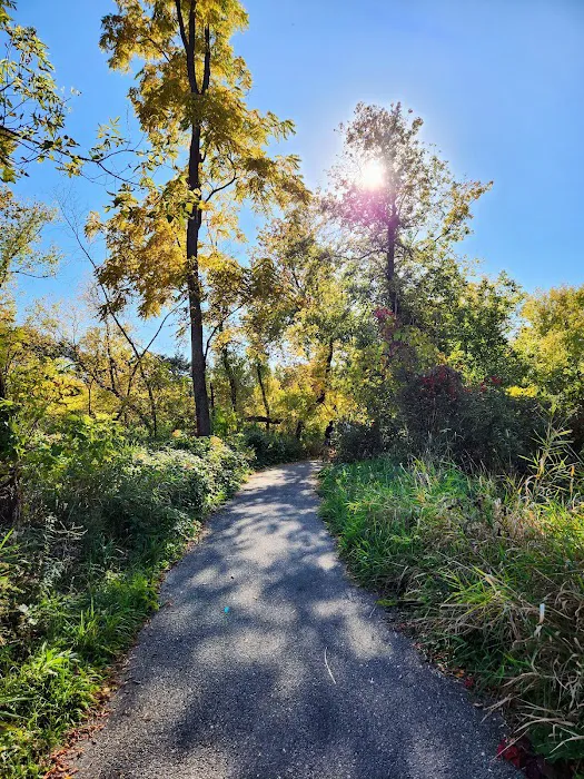 Mitchell Park Dog Exercise Areas 8