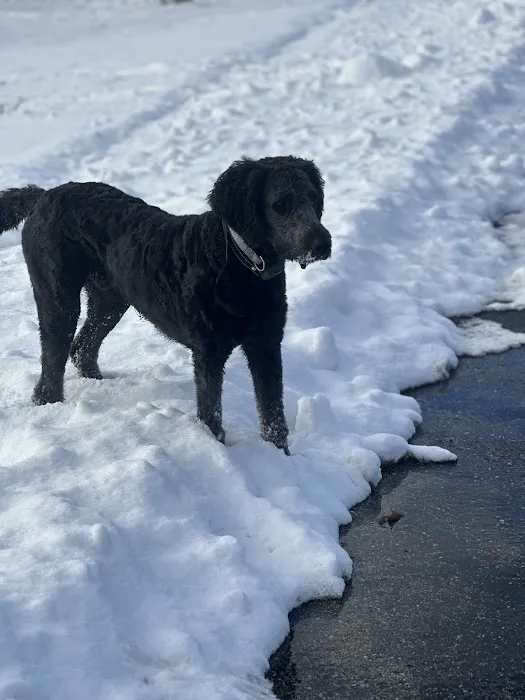 Homestead Howl Dog Park 4