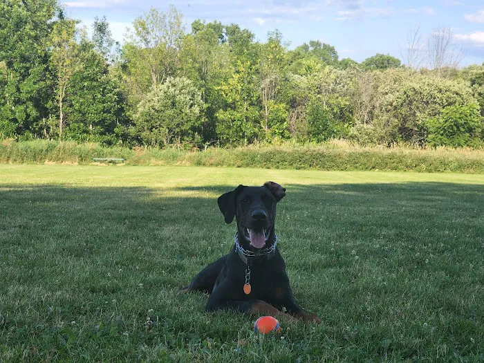 Homestead Howl Dog Park 7