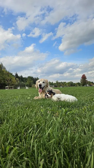 Homestead Howl Dog Park 6