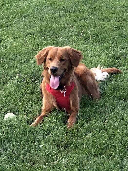 Homestead Howl Dog Park 8