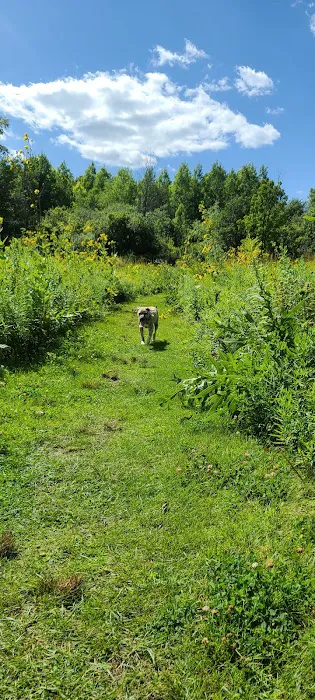 Homestead Howl Dog Park 3