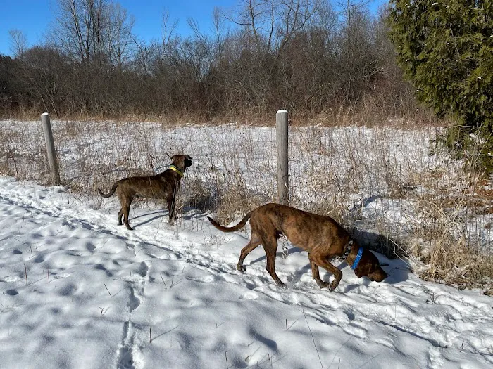 Homestead Howl Dog Park 5